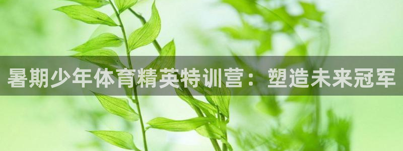 欧陆娱乐官网网址是多少：暑期少年体育精英特训营：塑造