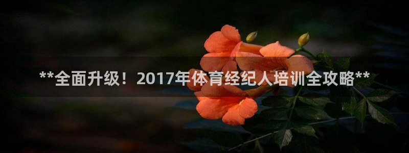 欧陆娱乐群里怎么进：**全面升级！2017年体育经纪